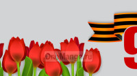 Занавес день победы 004