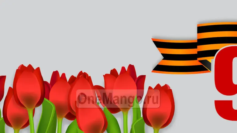 Занавес день победы 004
