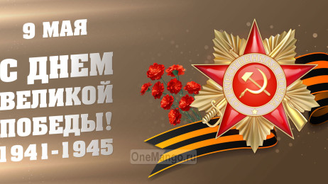 Занавес день победы 007