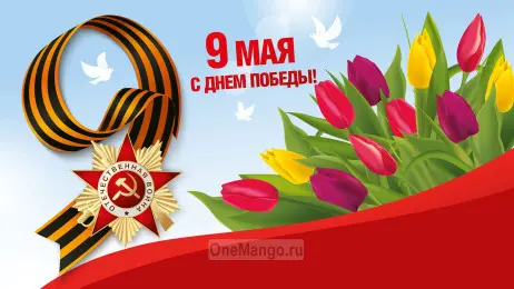 Занавес день победы 008