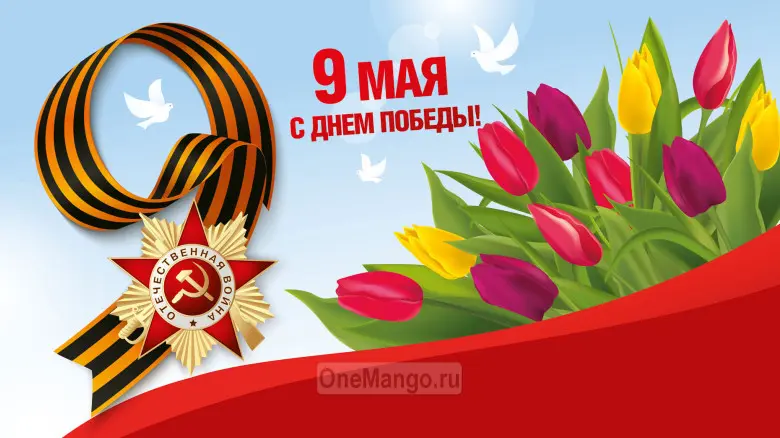 Занавес день победы 008