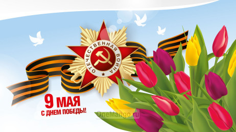 Занавес день победы 009