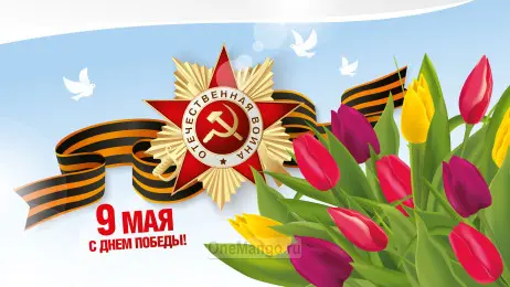 Занавес день победы 009