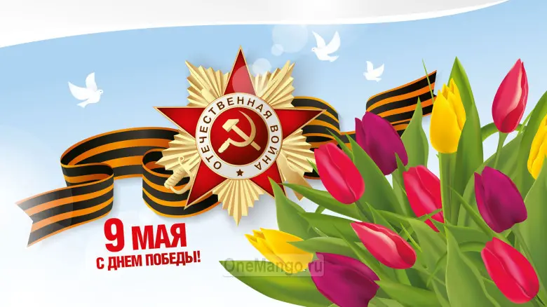 Занавес день победы 009