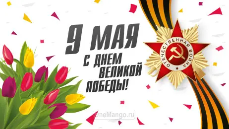 Занавес день победы 010