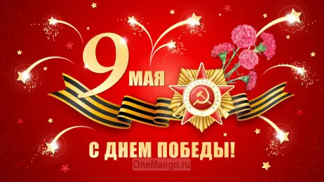 Занавес день победы 012
