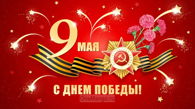 Занавес день победы 012