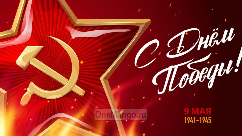 Занавес день победы 013