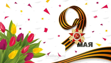 Занавес день победы 014