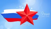 Занавес день победы 015