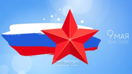 Занавес день победы 015