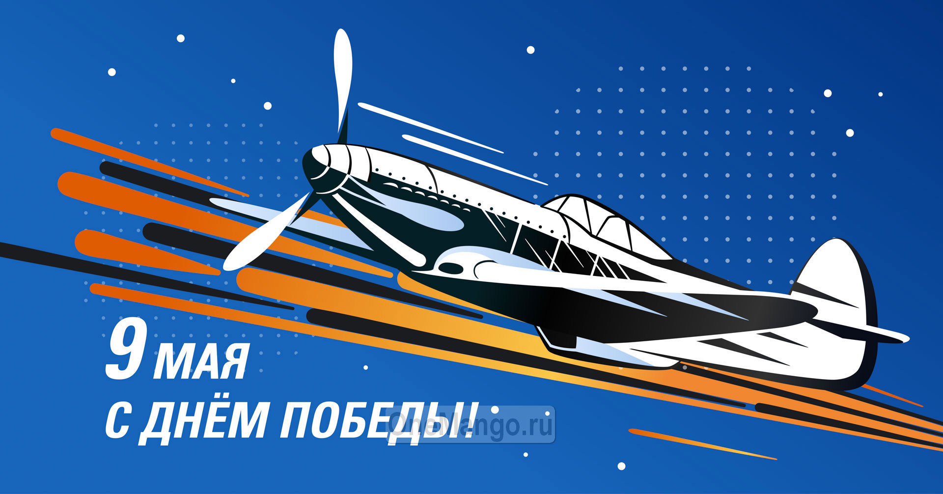 Занавес день победы 016