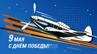 Занавес день победы 016