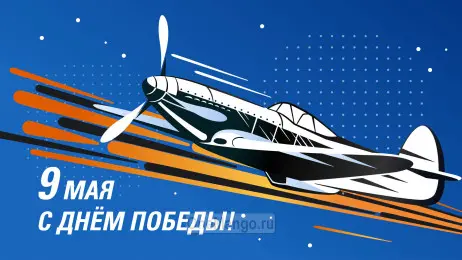 Занавес день победы 016