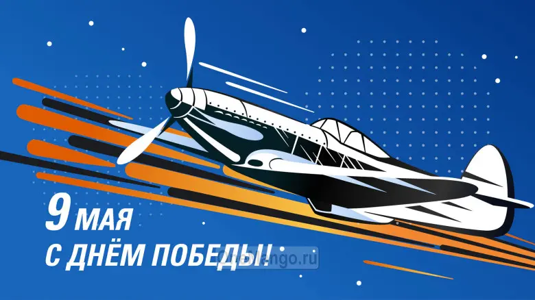 Занавес день победы 016