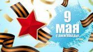 Занавес день победы 017