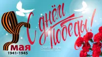 Занавес день победы 018