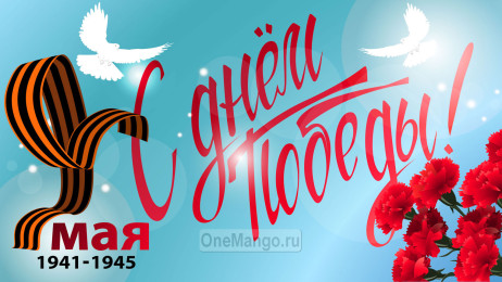 Занавес день победы 018