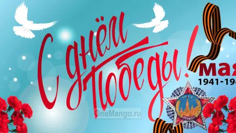 Занавес день победы 019