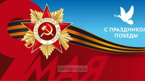 Занавес день победы 021