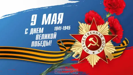 Занавес день победы 025