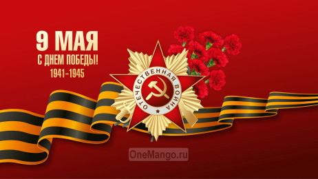 Занавес день победы 027