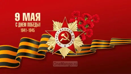 Занавес день победы 027