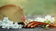 Занавес день победы 032