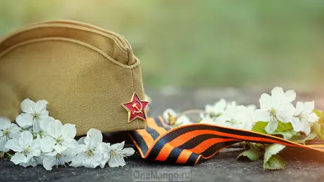 Занавес день победы 032