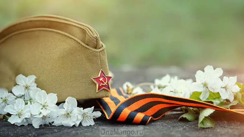 Занавес день победы 032