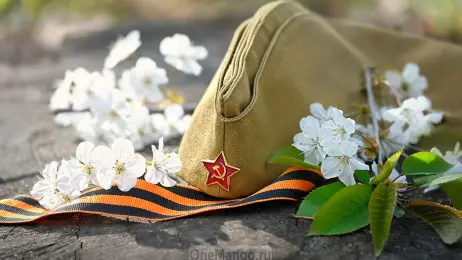 Занавес день победы 034