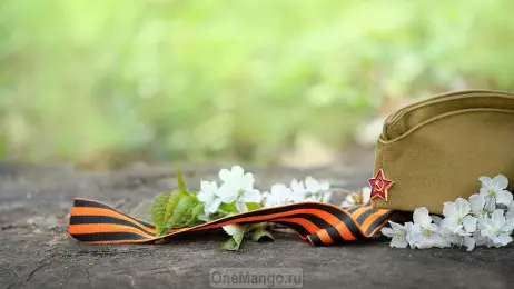 Занавес день победы 035