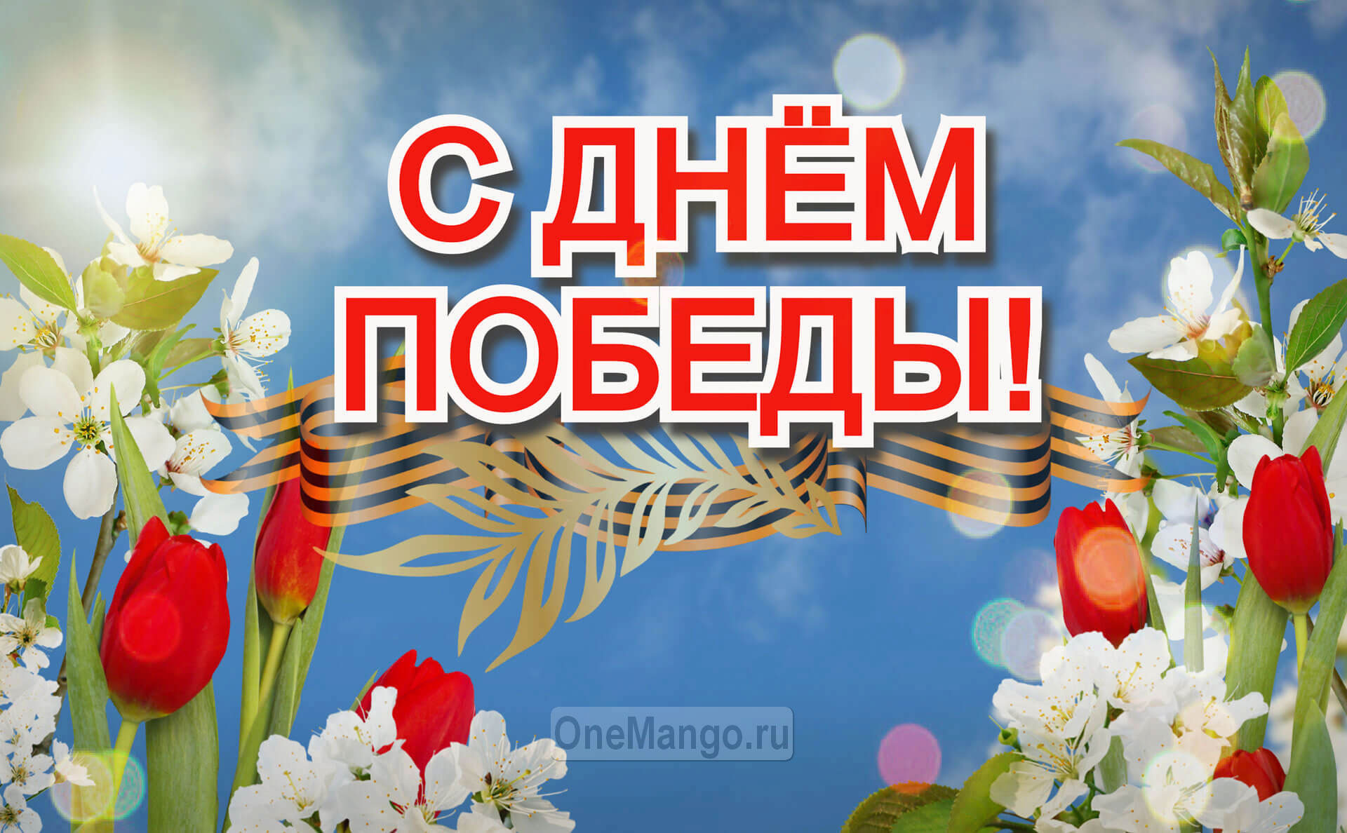 Занавес день победы 039