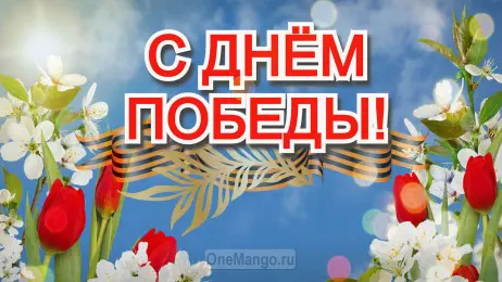 Занавес день победы 039