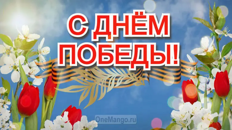 Занавес день победы 039