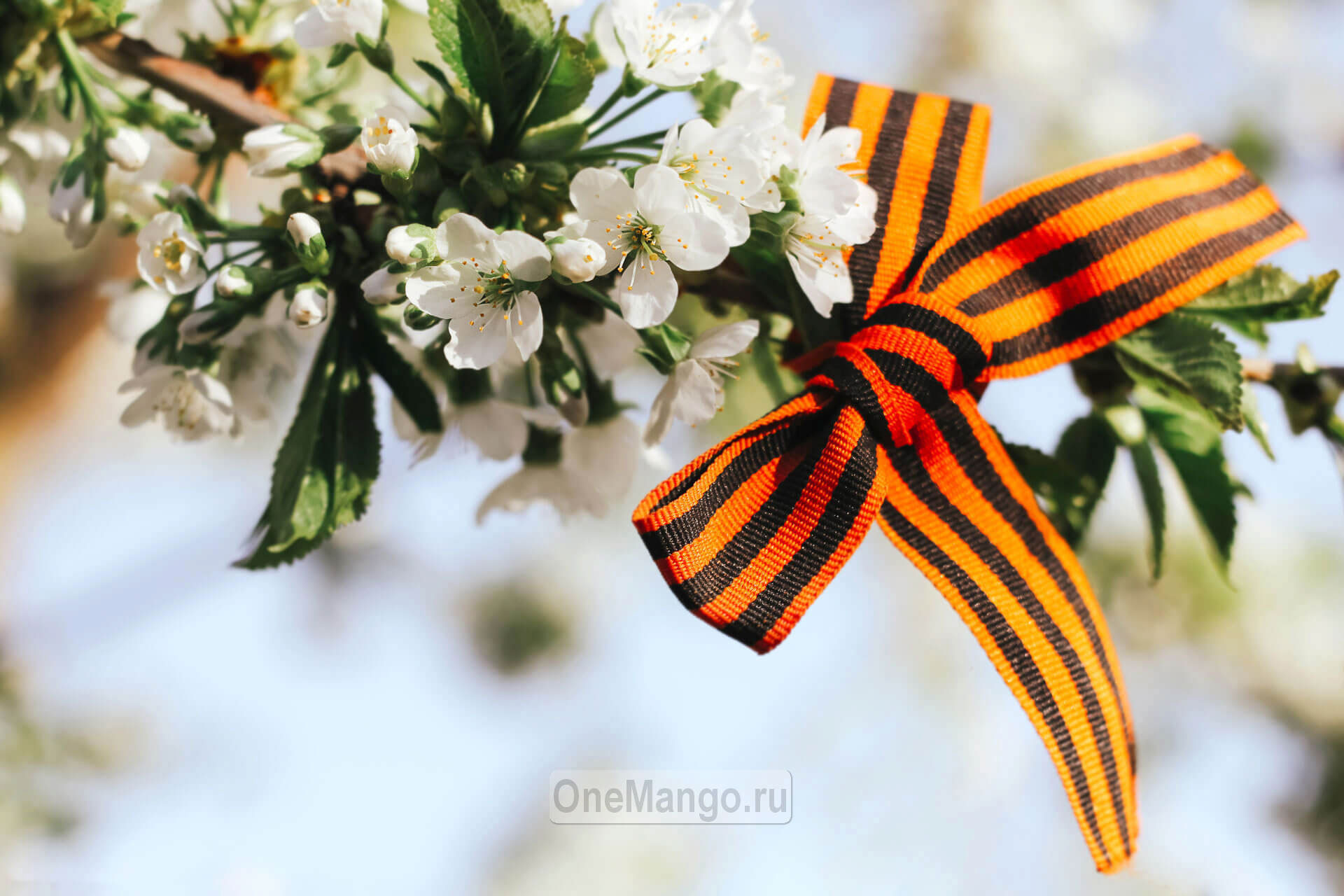 Занавес день победы 040
