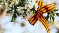 Занавес день победы 040