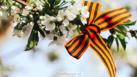 Занавес день победы 040