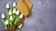 Занавес день победы 042