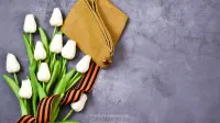 Занавес день победы 042