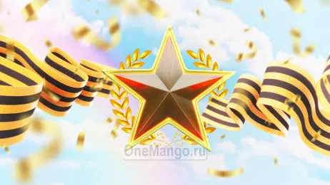 Занавес день победы 050