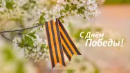 Занавес день победы 051