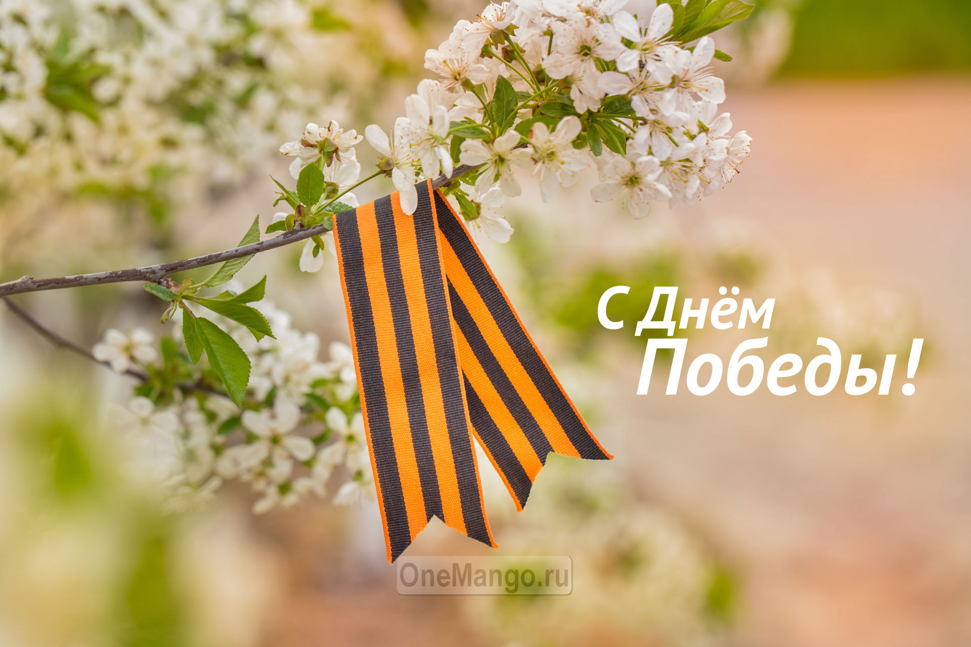 Занавес день победы 051