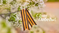 Занавес день победы 051
