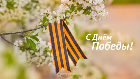 Занавес день победы 051