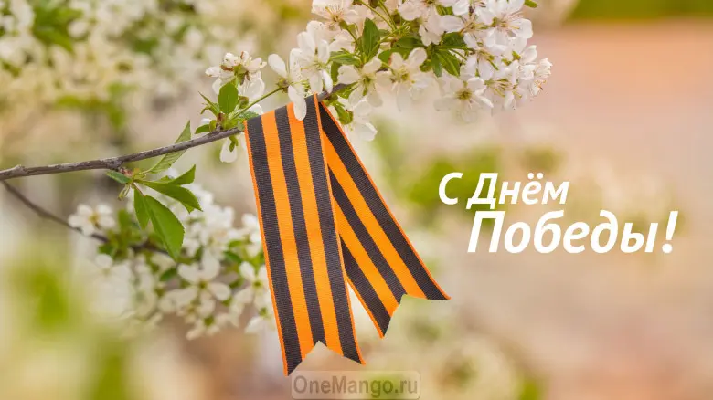 Занавес день победы 051