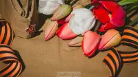 Занавес день победы 055