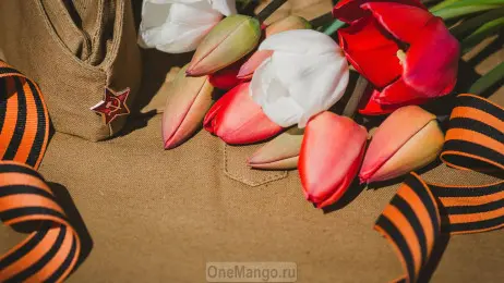 Занавес день победы 055