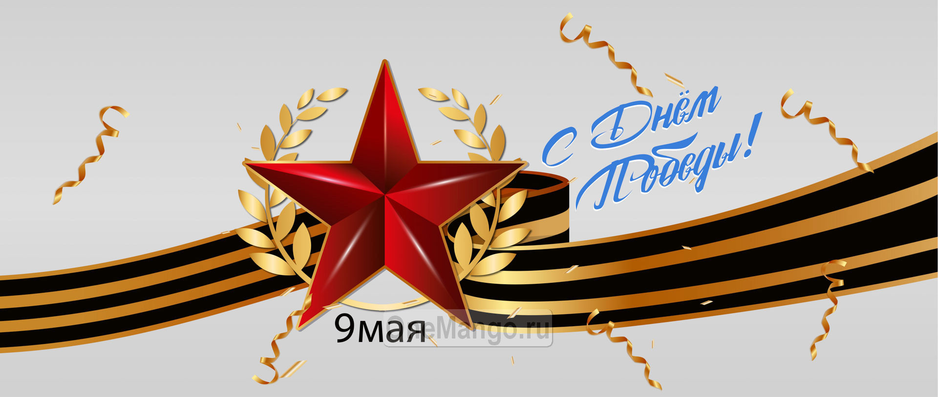 Занавес день победы 061