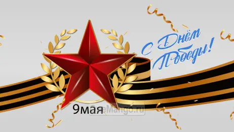 Занавес день победы 061